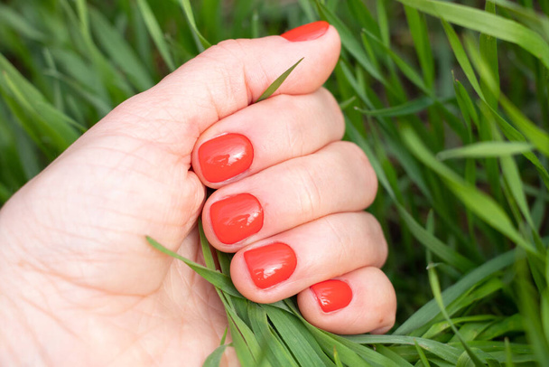 женские руки с красным маникюром крупным планом на фоне зеленой травы - Фото, изображение