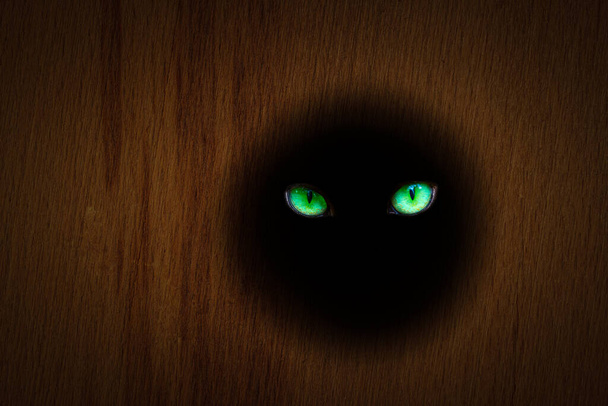 die wilden grünen Augen eines wilden Tieres sehen aus wie das Funkeln einer Katze in einem dunklen Loch auf einer hölzernen Oberfläche geheimnisvolle Abstraktion - Foto, Bild