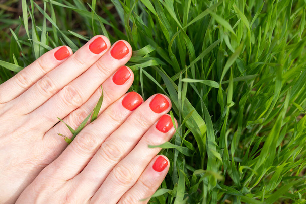 mains féminines avec manucure rouge gros plan sur un fond d'herbe verte - Photo, image