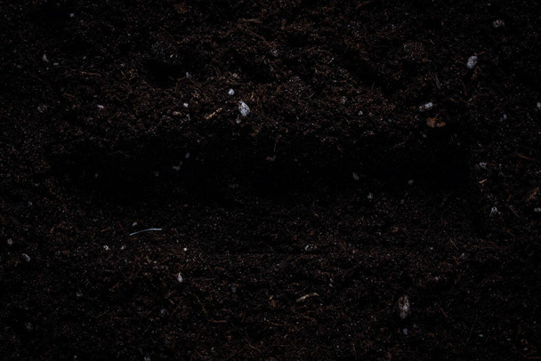 texture mystérieuse sombre de sol fertile pour la plantation avec un creux dans le concept central de jardinage arrière-plan pour la conception - Photo, image