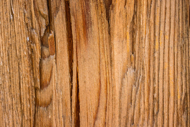 pine wood texture in a cut of an industrial natural background for design - Fotografie, Obrázek