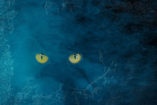 vad sárga szeme egy vadállat, mint a macska csillogó egy sötét üreges fa éjszaka és köd lélegzetelállító titokzatos absztrakció fantasztikus természet - Fotó, kép