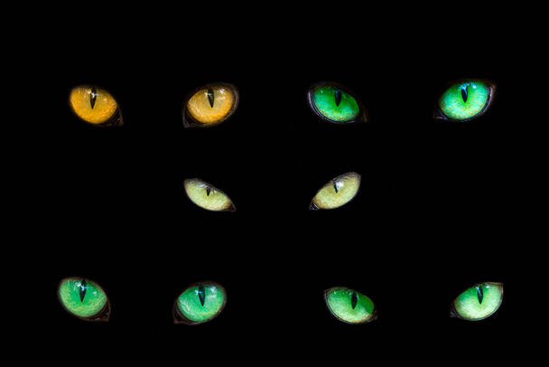 Tasarım için soyut nesneleri büyüleyen siyah bir arka planda parıldayan renkli kedilerin gözleri - Fotoğraf, Görsel