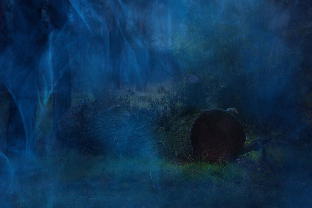 un gran tronco misterioso se encuentra en la hierba verde en el desierto alrededor del concepto de naturaleza de niebla azul fantasmal - Foto, Imagen