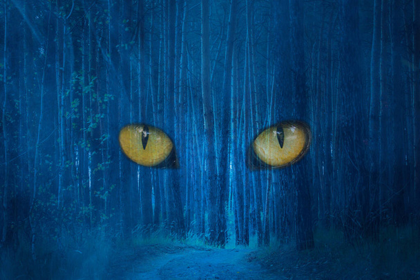 große Augen des Waldgeistes große Kiefern bedeckt mit Nebel geheimnisvolle Nacht mystische und Halloween-Konzept - Foto, Bild
