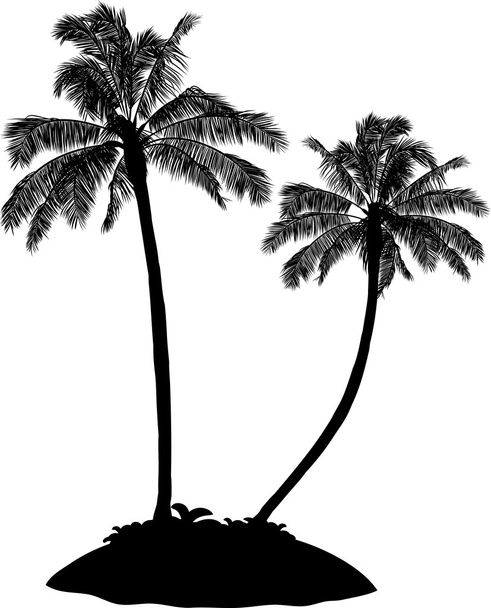 palm tree silhouette on white - Vector, Image