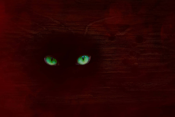 Mistik bir hayvanın yeşil gözleri kırmızı gece sisi ve gizem ile kaplı bir ağaç gövdesinde parlıyordu. - Fotoğraf, Görsel