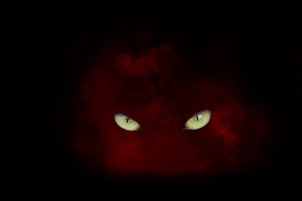 demoni punainen savuke höyryn mystinen muotokuva värillinen tupakointi käsite - Valokuva, kuva