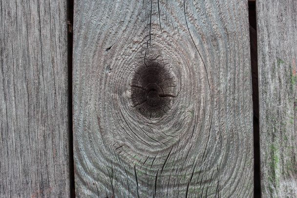világos fa textúra egy gyönyörű sötét ovális alakú minta háttér tervezés - Fotó, kép