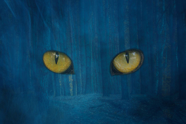 oranje ogen van een geest in een dennenbos bedekt met blauwe mist betoverend wildlife mystiek en Halloween concept - Foto, afbeelding