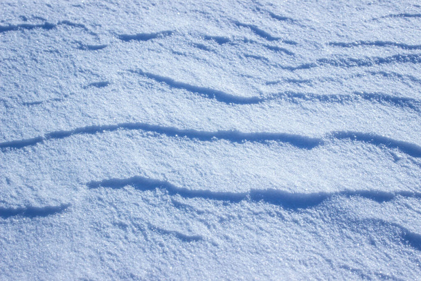 яркий зимний фон пушистый снег с волнистыми линиями - Фото, изображение