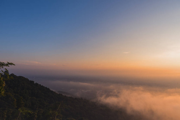 朝の高角度から見た太陽と霧の木の列のイメージ. - 写真・画像