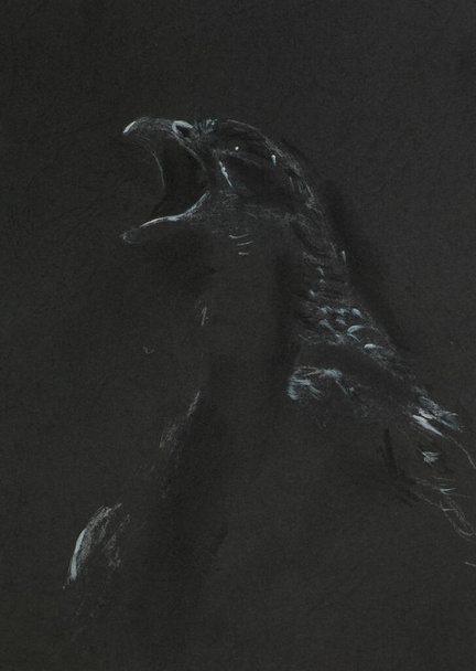 ζωγραφισμένο στο χέρι μαύρο και άσπρο κιμωλία απεικόνιση του screamin αετός - Φωτογραφία, εικόνα