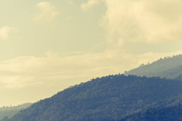 熱帯緑の山の森と曇りの空の昼間のヴィンテージトーンのイメージ. - 写真・画像