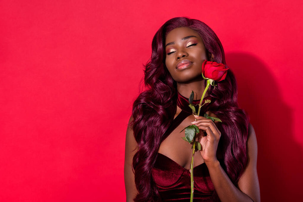 Photo of young tender black girl hold rose flower valentine day gift dream enjoy isolated over red color background - Φωτογραφία, εικόνα