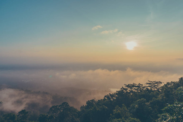 imagem de tom vintage de linha de árvore com vista de sol e nevoeiro de ponto de ângulo alto na hora da manhã. - Foto, Imagem