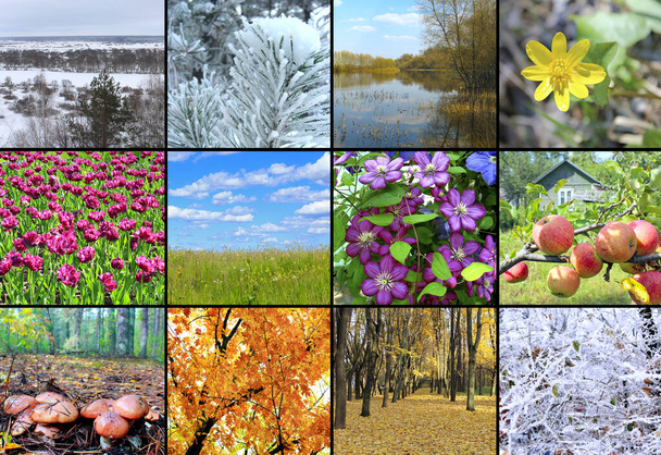 en blanco con diferentes doce imágenes de color de la naturaleza para el calendario - Foto, Imagen