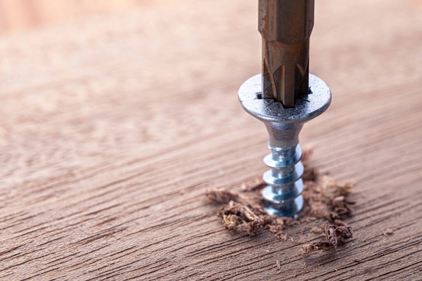 Screwdriver screw in a wood oaks plank. Self-tapping screw for PZ3 bit. Screws macro photo. Construction abstraction. Industrial background. - Φωτογραφία, εικόνα