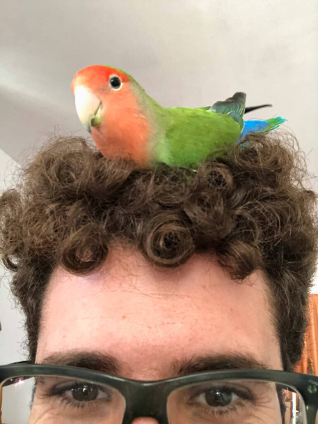 uomo con i capelli ricci con un uccello sulla testa come un nido - Foto, immagini