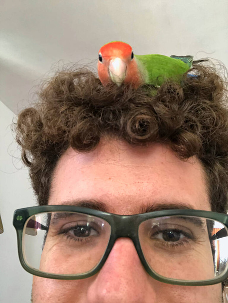 uomo con i capelli ricci con un uccello sulla testa come un nido - Foto, immagini