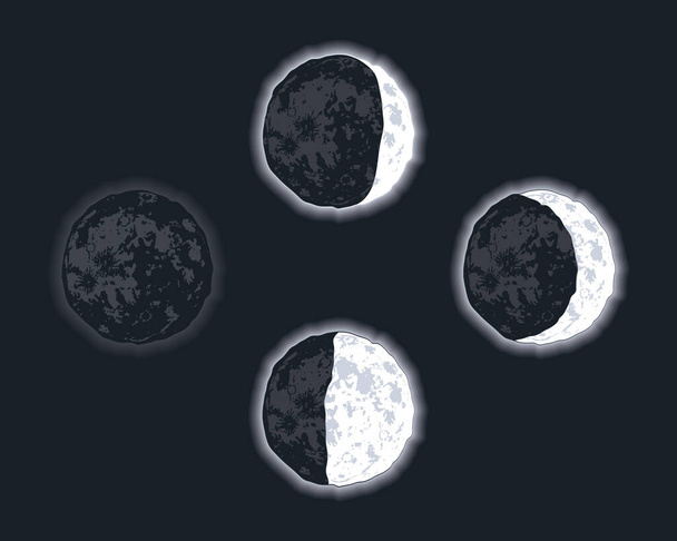 cuatro fases lunares establecidas - Vector, imagen