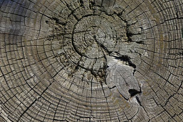 Стара дошка як фон, текстура старого дерева
 - Фото, зображення