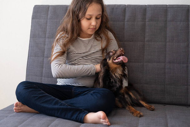 Happy little girl pet śmieszne brązowy rosyjski zabawki terrier  - Zdjęcie, obraz
