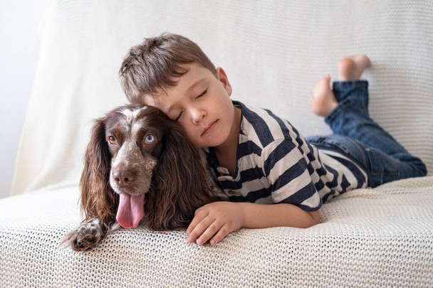 Pieni söpö poika syleillä rakkaudella venäläinen spanieli koira ruskea eri värejä silmät. Istu alas.  - Valokuva, kuva