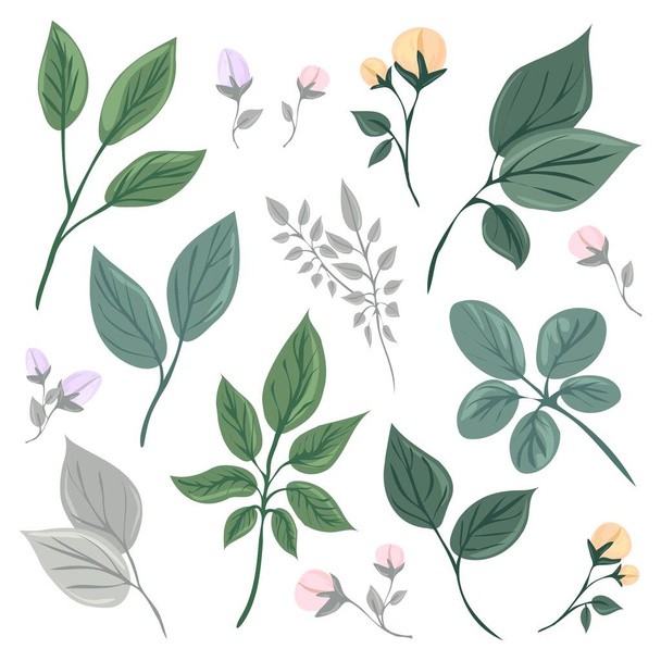 Botanical elements set. Collection of flowers and leaves. Flat isolated vector illustration. Pastel colors. - Vetor, Imagem