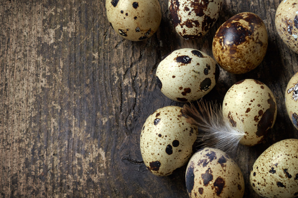 quail eggs - Photo, Image