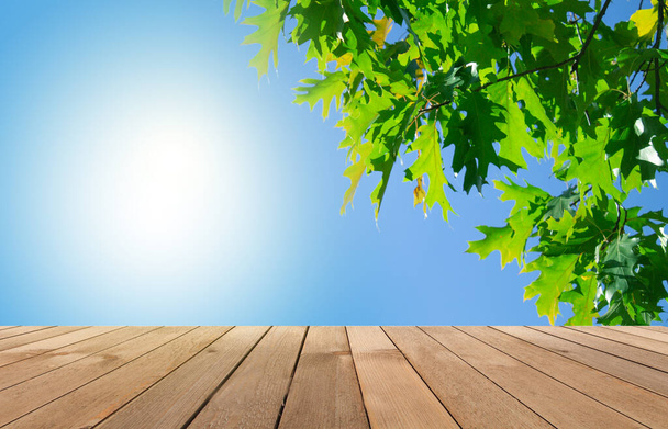 Üres háttér a nyári táj. Fa asztal tetején, zöld levelek közelkép a háttérben a kék ég. - Fotó, kép