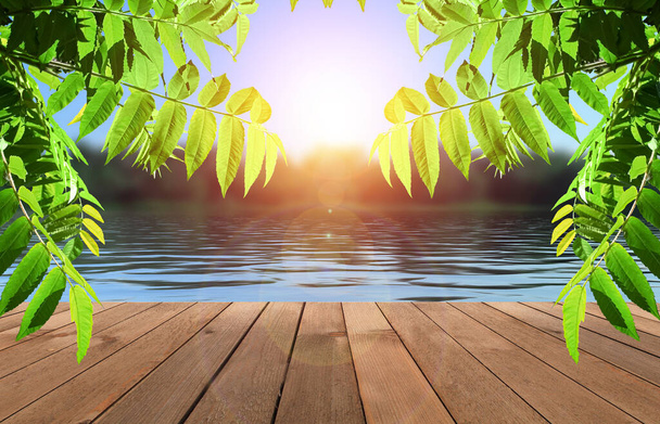 Lege achtergrond van het zomerlandschap. Houten tafelblad, groene bladeren close-up op een achtergrond van blauwe lucht. - Foto, afbeelding