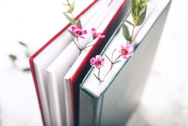 Beyaz arkaplanda çiçek dekoru olan kitaplar, yakın plan - Fotoğraf, Görsel