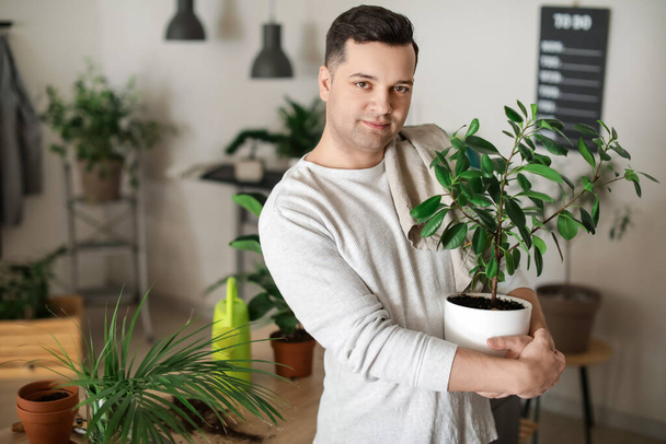 家で植物の世話をしている若い男 - 写真・画像