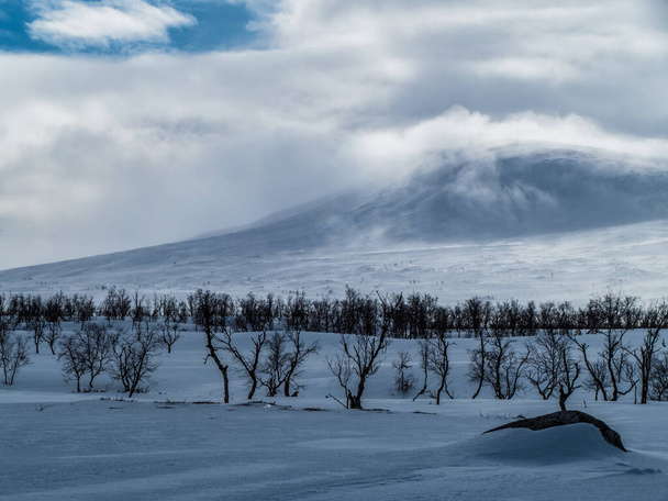 όμορφο άγριο χιονισμένο τοπίο χειμώνα του Sarek εθνικό πάρκο στη σουηδική lappland - Φωτογραφία, εικόνα