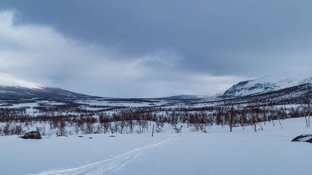 beautiful wild snowy winter landscape of Sarek national park in swedish lappland - Photo, Image