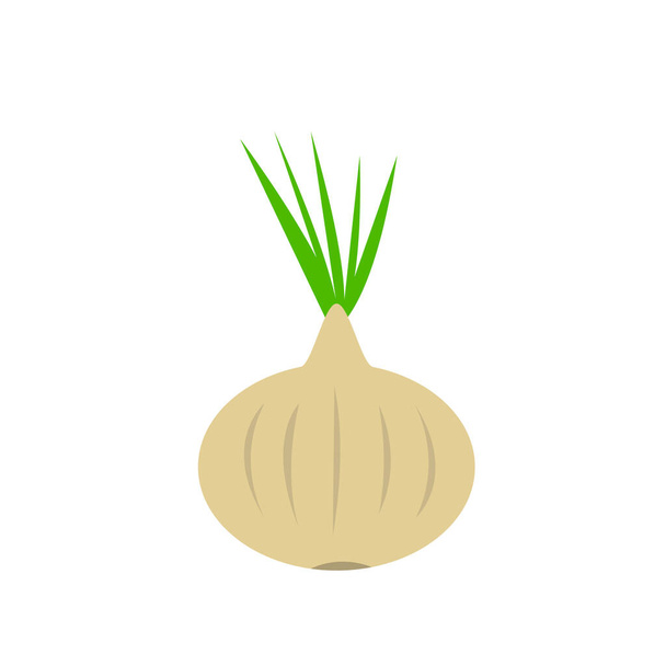 onions with green leaves on a white background concept of food and ingredients for cooking - Vetor, Imagem