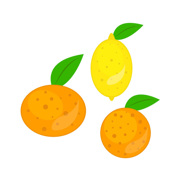 Narancs citrom és mandarin egészséges trópusi gyümölcsök zöld levelek élelmiszer koncepció tárgy fehér alapon - Vektor, kép