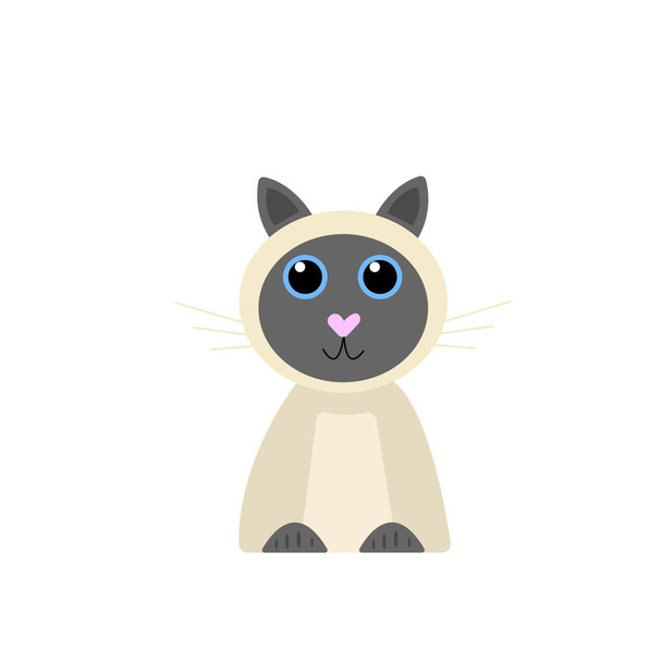 Siamese kitten sitting on a white background portrait of a cute pet animal closeup object for design on a white background - Vector, Image