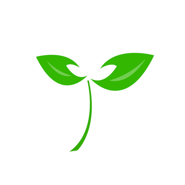 логотип натуральної зеленої паростки з яскравим листям і тонкою стовбуровою концепцією сільського господарства та об'єкта природи на білому тлі
 - Вектор, зображення