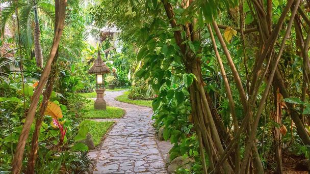 A lush tropical garden set in a spa resort in a southeast Asian rainforest, with a winding stone pathway and a Balinese style lantern. Philippines. - Fotó, kép