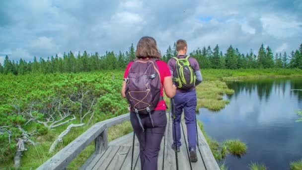 Due escursionisti camminano sul sentiero e raggiungono un bel lago blu. Si fermano ad osservare la splendida natura. - Filmati, video