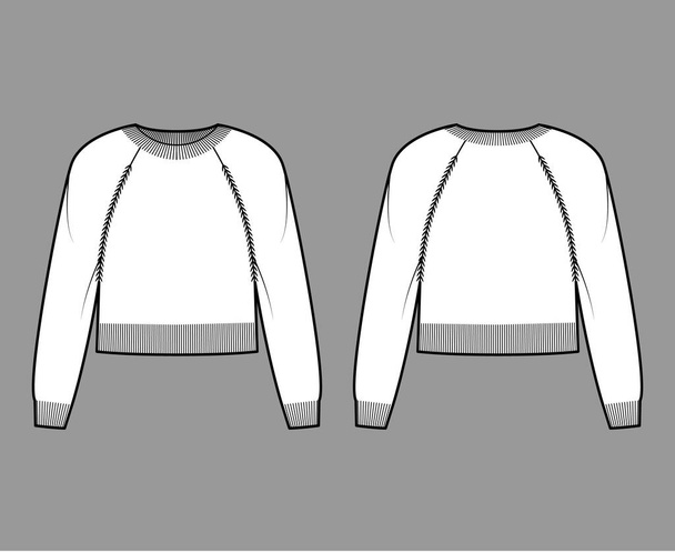 Legénység nyak pulóver vágott technikai divat illusztráció hosszú raglan hüvely, relax fit, derék hossza, kötött borda berendezés - Vektor, kép