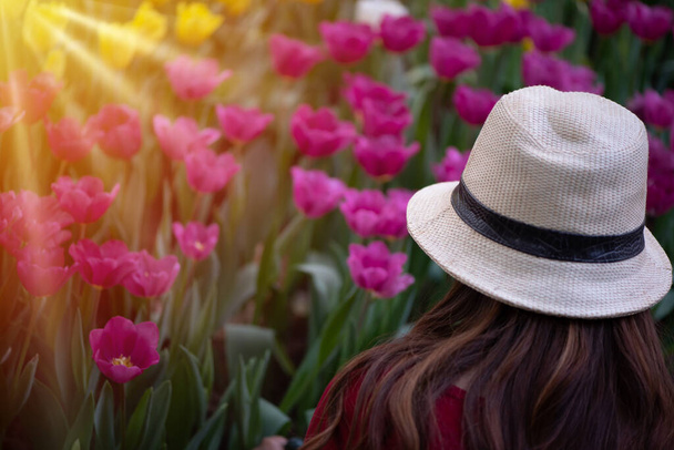 Una donna con un cappello bianco alla fattoria dei tulipani. Giardino fiorito con sole al mattino, copiare spazio. - Foto, immagini