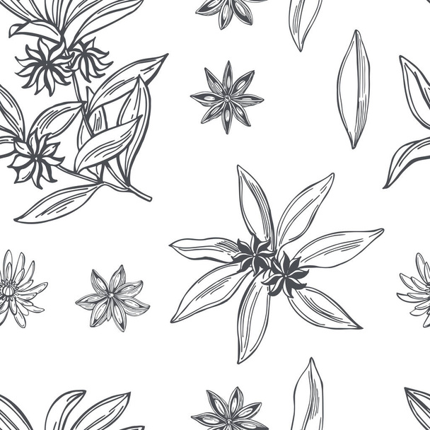 Hand drawn star anise on white background.Vector  seamless pattern.  - Vecteur, image