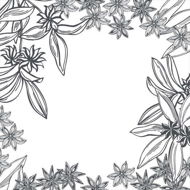 Hand drawn star anise. Vector background. Sketch  illustration. - Vector, Image