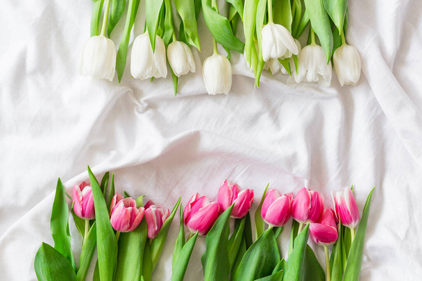 Tulipes roses et blanches isolées sur fond de tissu blanc avec espace de copie. Couché à plat, vue de dessus. Concept de maquette florale minime. Saint Valentin, Pâques, Anniversaire, Happy Womens Day concept - Photo, image