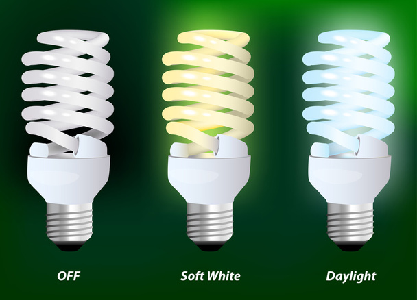 Compact fluorescent lamp - Vector, Image