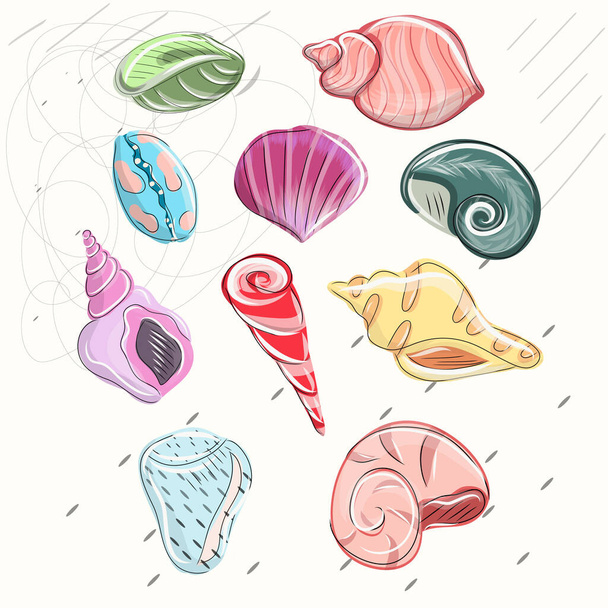 Σύνολο διανύσματος Seashells - Διάνυσμα, εικόνα