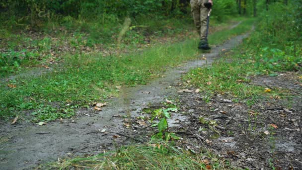 un uomo cammina con un metal detector attraverso la foresta - Filmati, video